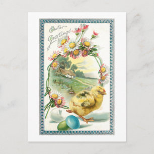 Vintage Easter Chick, Greeting and Daisies Postcard