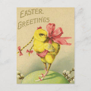 Vintage Easter Chick Holiday Postcard