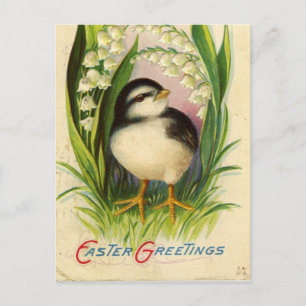 Vintage Easter Chick Holiday Postcard