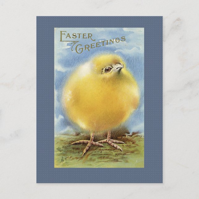 Vintage Easter Chick Postcard (Front)