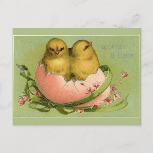 Vintage Easter Chicks Hatch Postcard (Front)