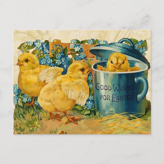 Vintage Easter Chicks Holiday Postcard (Front)