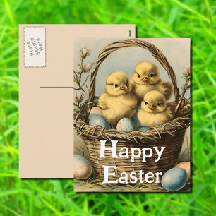 Vintage   Easter Chicks  Holiday Postcard