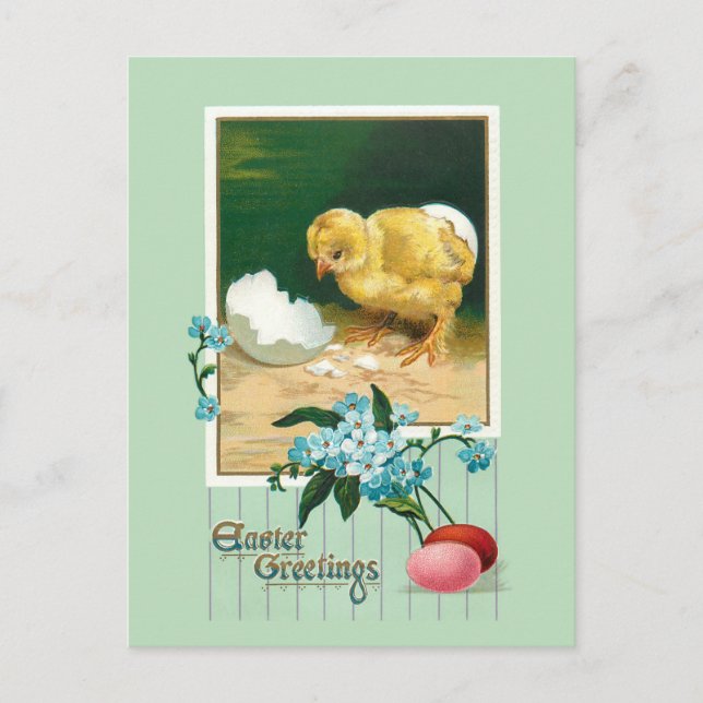 Vintage Easter Eggs, Chick & Flowers Postcard (Front)