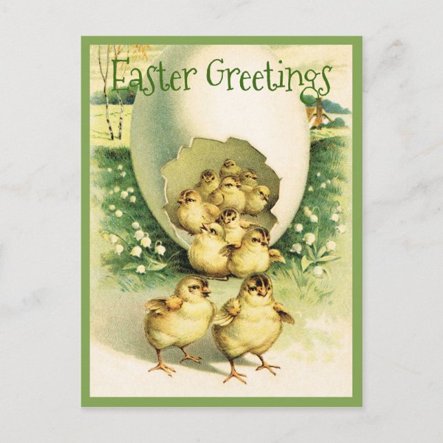 Vintage Easter Greetings Chicks Postcard (Front)
