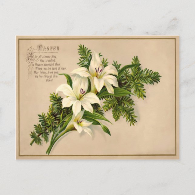 Vintage Easter Lily Postcard (Front)