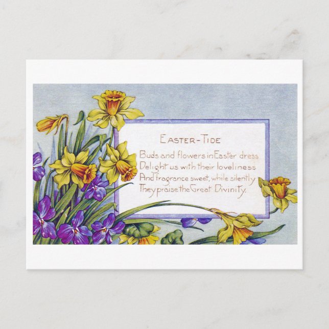 Vintage Easter Narcissus Flower Postcard (Front)