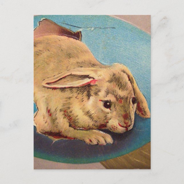 Vintage Easter Rabbit Postcard (Front)