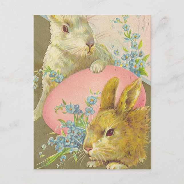 Vintage Easter Rabbits Postcard (Front)