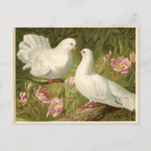 Vintage Easter White Doves Holiday Postcard