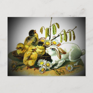 Vintage Easter White Rabbit & Baby Chicks, ZSSG Holiday Postcard