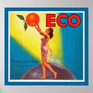 Vintage Eco Orange Label Poster