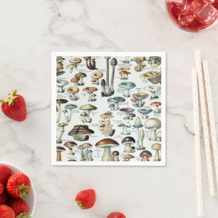Vintage Edible Mushroom Chart Napkin