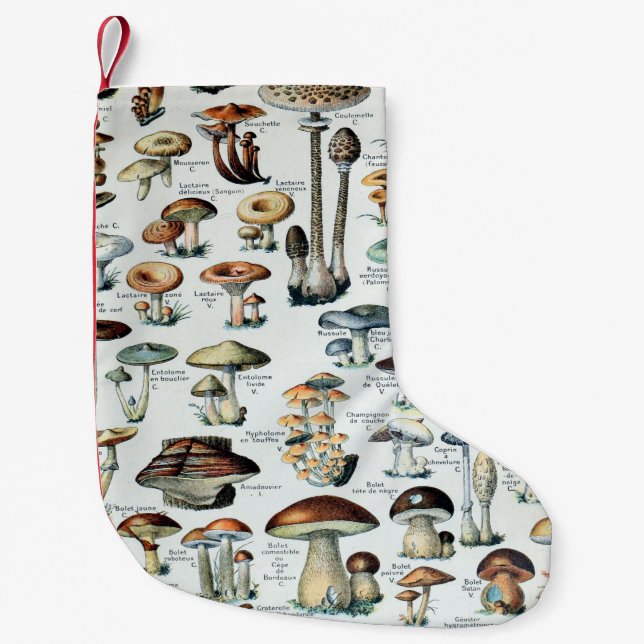 Vintage Edible Mushroom Chart Small Christmas Stocking (Front)
