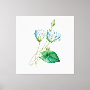 Vintage Egyptian Lotus Flower  Canvas Print