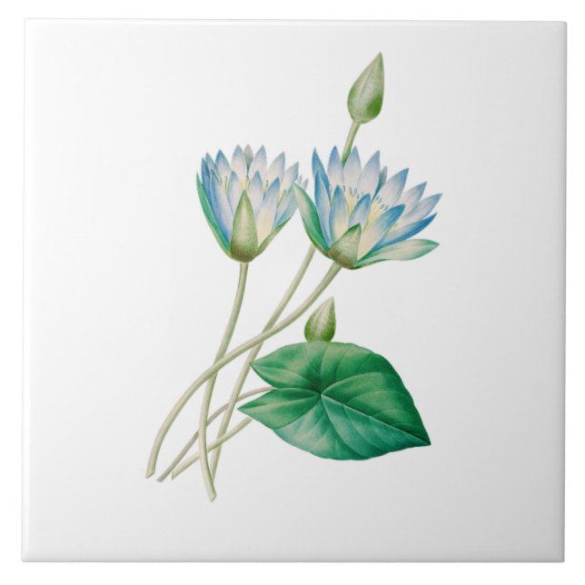 Vintage Egyptian Lotus Flower Tile (Front)