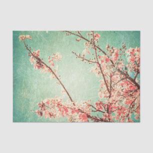Vintage elegant worn teal wood & cherry blossom tissue paper