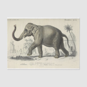 Vintage Elephant Ephemera Decoupage French Script Tissue Paper