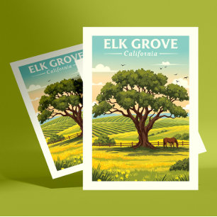 Vintage Elk Grove California Postcard