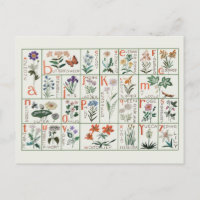 Vintage embroidery alphabet sampler | Wildflowers