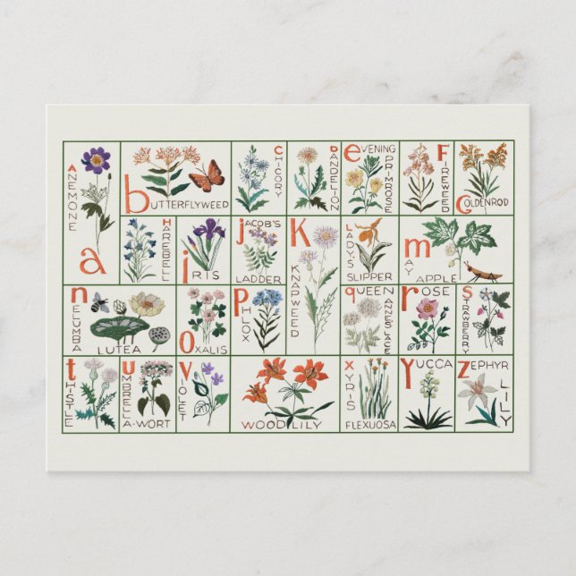 Vintage embroidery alphabet sampler | Wildflowers Postcard (Front)
