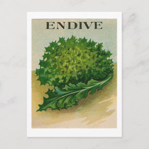 vintage endive seed packet postcard