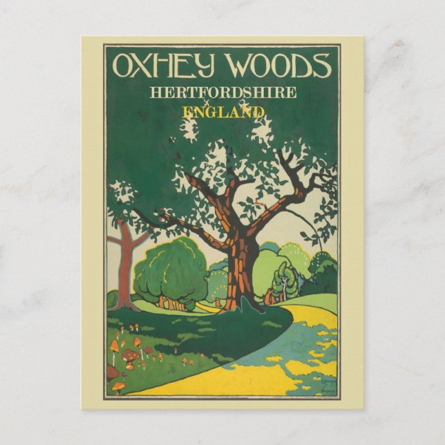 Vintage England Hertfordshire Oxhey Woods Travel Postcard (Front)