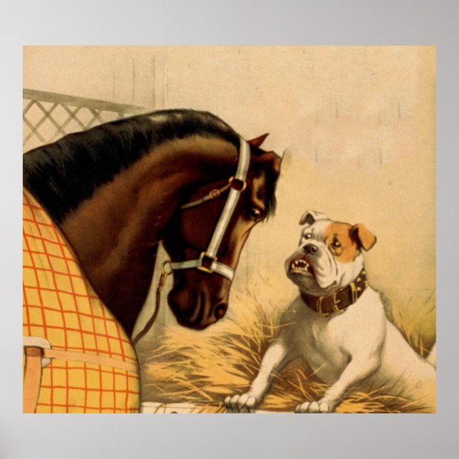 Vintage English Bulldog & Horse Illustration Poster (Front)