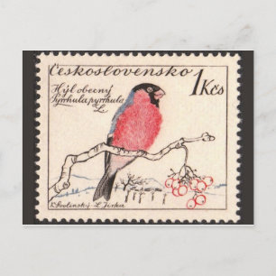 Vintage Engraved Stamp Postcard