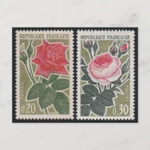 Vintage Engraved Stamp Postcard