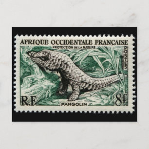 Vintage Engraved Stamp Postcard