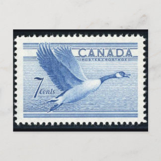 Vintage Engraved Stamp Postcard