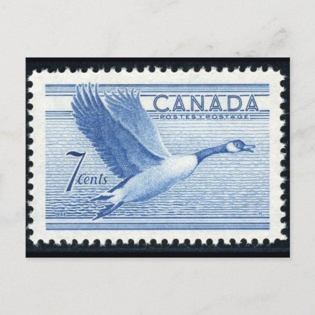 Vintage Engraved Stamp Postcard (Front)