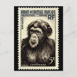 Vintage Engraved Stamp Postcard