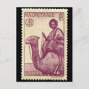 Vintage Engraved Stamp Postcard
