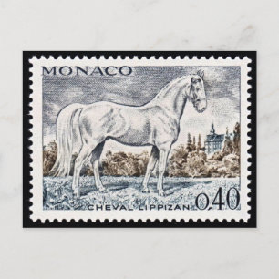 Vintage Engraved Stamp Postcard