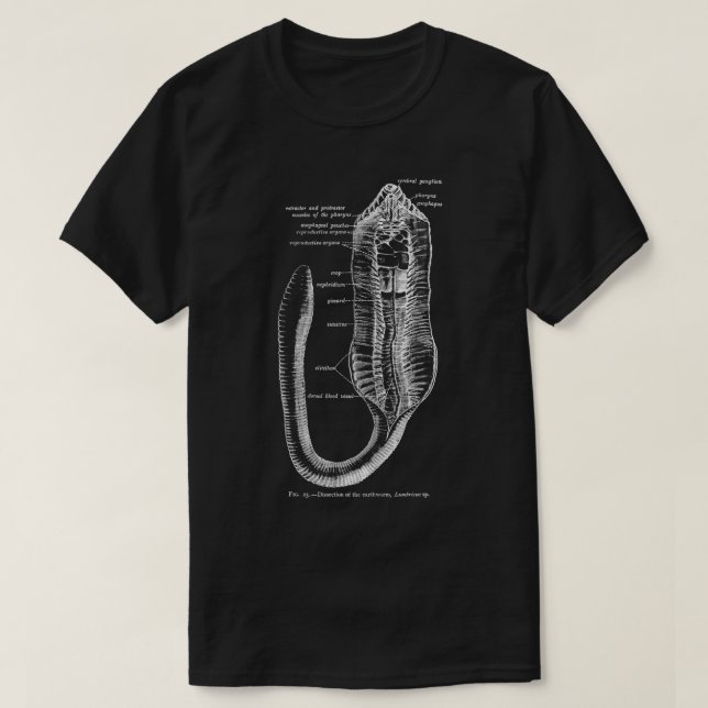 Vintage Entomology Earthworm Anatomy  T-Shirt (Design Front)