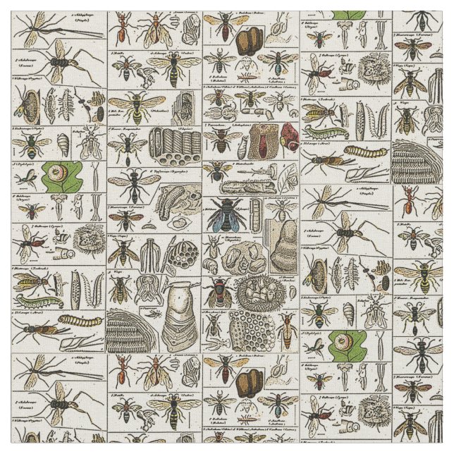 Vintage Entomology Fabric (Close Up)
