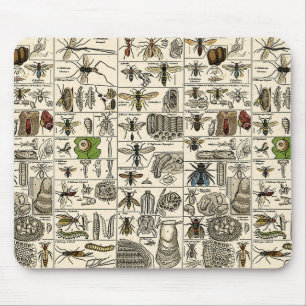 Vintage Entomology Mouse Pad