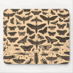 Vintage Entomology Mousepad