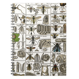 Vintage Entomology Spiral Notebook