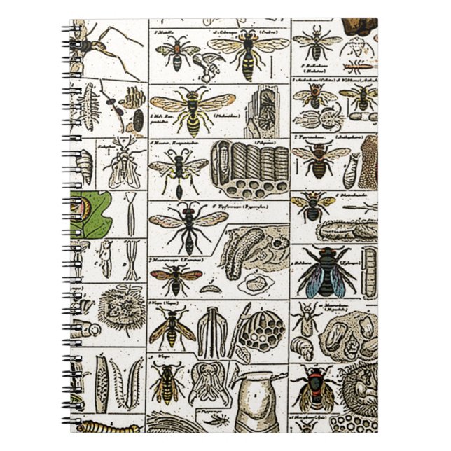 Vintage Entomology Spiral Notebook (Front)