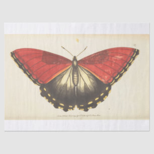 Vintage Ephemera Red Butterfly Moth Decoupage Tissue Paper