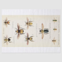 Vintage Ephemera Script Bee Decoupage