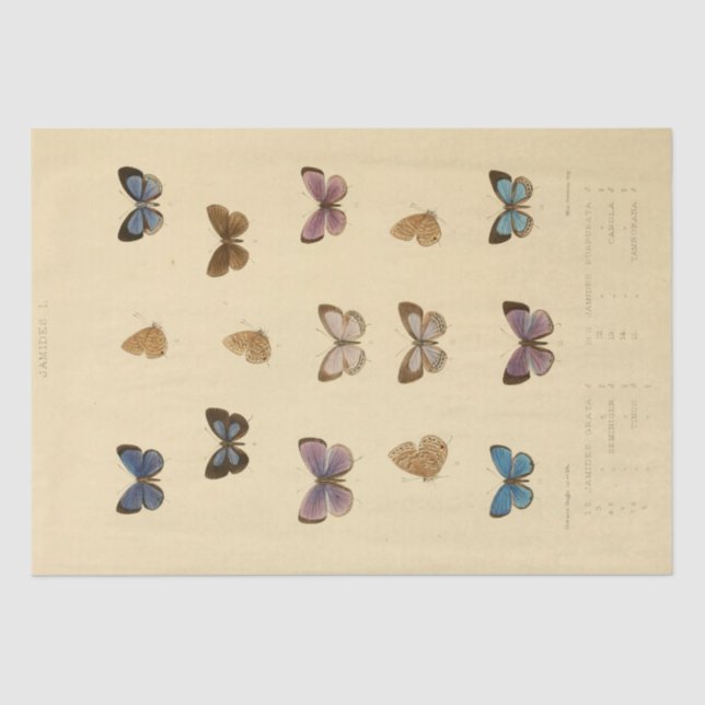 Vintage Ephemera Script Butterfly Decoupage Tissue Paper (Front)