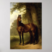 Vintage Equestrian Horse Landscape Digital Art Poster (Front)