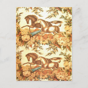 Vintage Equestrian Horse Postcard 3