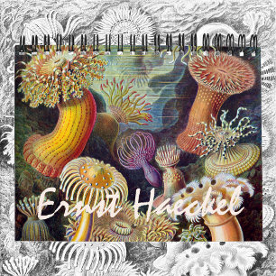 Vintage Ernest Haeckel, Biology, Botany, Science Calendar