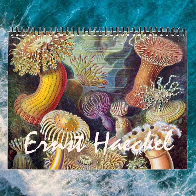 Vintage Ernst Haeckel, Biology, Botany, Science Calendar (Ernst Haeckel Calendar)