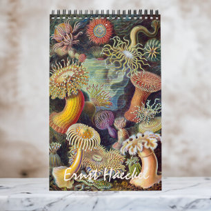 Vintage Ernst Haeckel, Biology, Botany, Science Calendar